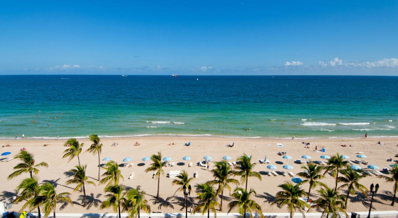 Summer Activities in Fort Lauderdale